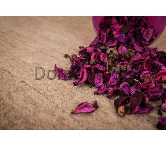 Шерстяний килим  Lalee Prestige 650 Beige Купити в інтернет магазині ДомоМода фото 3 Шерстяний килим  Lalee Prestige 650 Beige - Висока якість за найкращою ціною в Україні зображення 3.